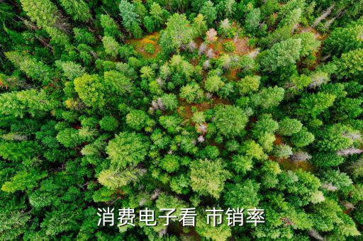 市銷(xiāo)率怎么看,市銷(xiāo)率優(yōu)缺點(diǎn):適用于服務(wù)性企業(yè)和傳統(tǒng)行業(yè)企業(yè)