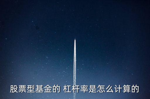 擔(dān)保杠桿率怎么算,股票型基金杠桿的計(jì)算方式