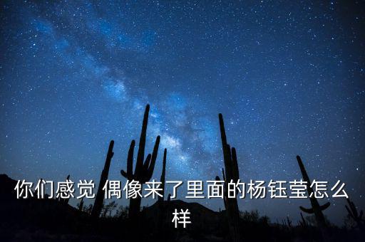 你們感覺(jué) 偶像來(lái)了里面的楊鈺瑩怎么樣