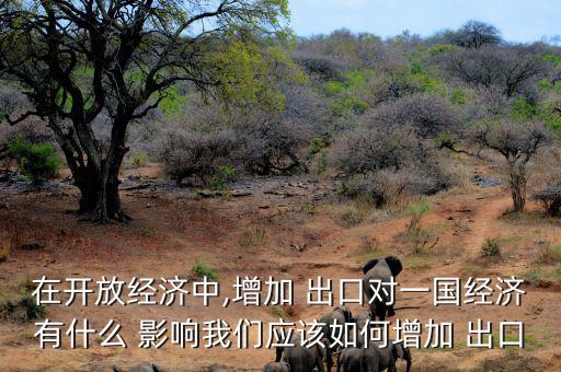 在開放經(jīng)濟(jì)中,增加 出口對一國經(jīng)濟(jì)有什么 影響我們應(yīng)該如何增加 出口