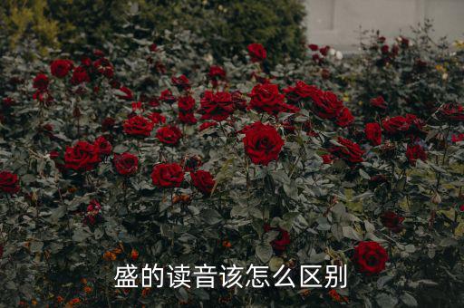 嘉盛中心的盛怎么讀,盛會、豐盛、茂盛、盛大等五個漢字