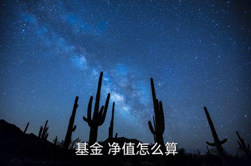 基金累計(jì)凈值怎么查,基金凈值有什么用?