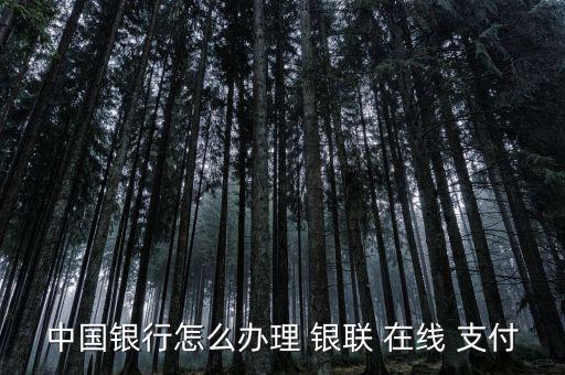 銀聯(lián)在線支付怎么轉(zhuǎn)賬,銀聯(lián)在線支付業(yè)務開通或關閉流程如下