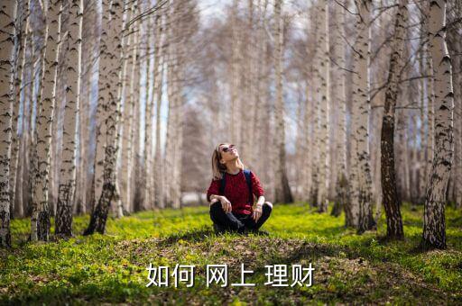 怎么樣才能在網(wǎng)上理財,個人投資理財開關可開啟網(wǎng)銀/手機銀行