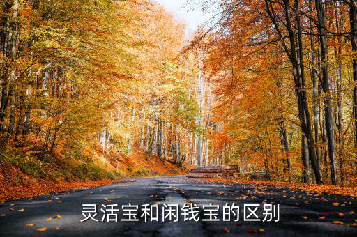 靈活寶1號(hào)怎么樣,錢錢寶和余額寶之別