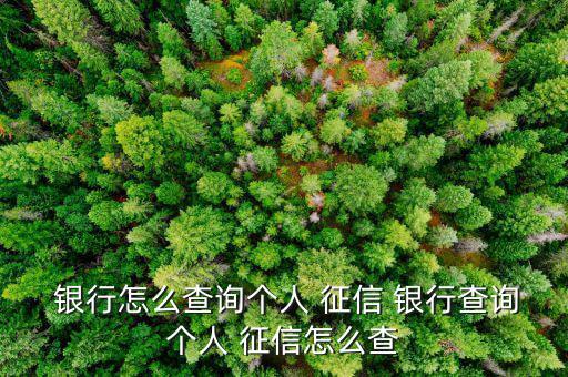  銀行怎么查詢個(gè)人 征信 銀行查詢個(gè)人 征信怎么查