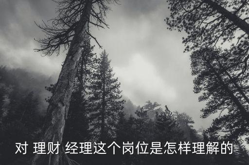 對 理財(cái) 經(jīng)理這個崗位是怎樣理解的