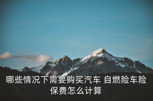 哪些情況下需要購買汽車 自燃險車險保費(fèi)怎么計算