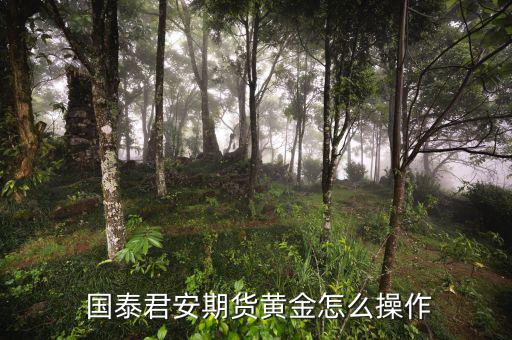  國泰君安期貨黃金怎么操作