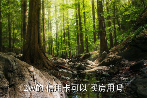 信用卡怎么買房,買房貸款與信用卡的存在關系不大