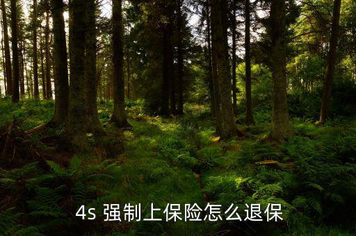 4s強(qiáng)制贈保險怎么解決,汽車保險知多少?