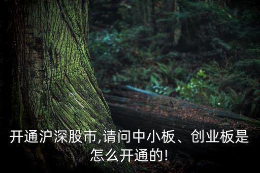 開通滬深股市,請問中小板、創(chuàng)業(yè)板是怎么開通的!