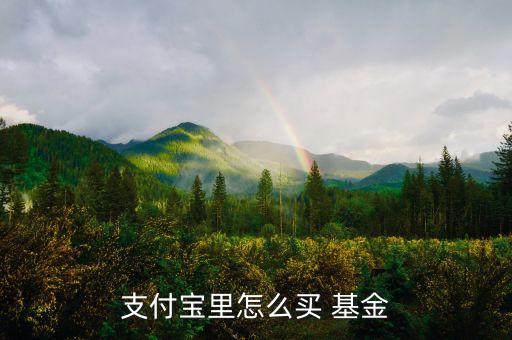 手機(jī)上怎么買(mǎi)基金,如何在支付寶基金購(gòu)買(mǎi)首飾和家具類(lèi)產(chǎn)品?