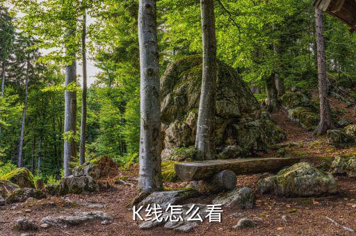 手機(jī)股票k線(xiàn)怎么看,晨光|紙上風(fēng)云:今天的k線(xiàn)有何神秘?