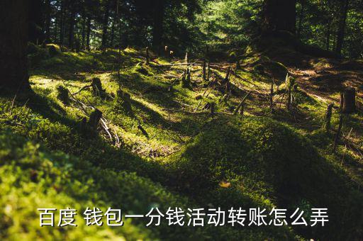  百度 錢包一分錢活動轉(zhuǎn)賬怎么弄