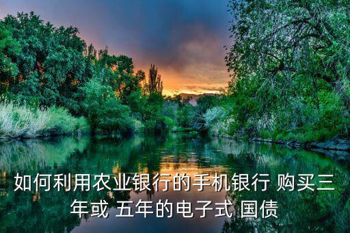 如何利用農業(yè)銀行的手機銀行 購買三年或 五年的電子式 國債