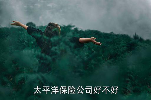 做太平洋保險怎么樣,中國太平洋保險集團(tuán)有限公司在美國投資