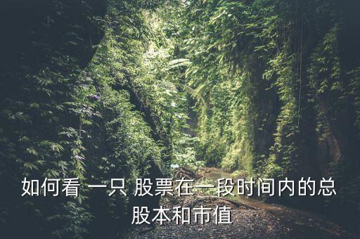 如何看 一只 股票在一段時(shí)間內(nèi)的總 股本和市值