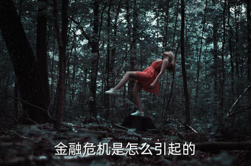 經(jīng)濟危機怎么來的,國際金融危機起源于美國70年來最嚴(yán)重