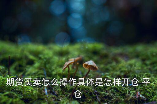 期貨買賣怎么操作具體是怎樣開倉(cāng) 平倉(cāng)