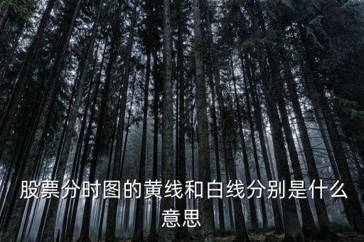 股票波浪線怎么看,股票分時(shí)圖:大盤(pán)下跌時(shí)藍(lán)線多于黃線