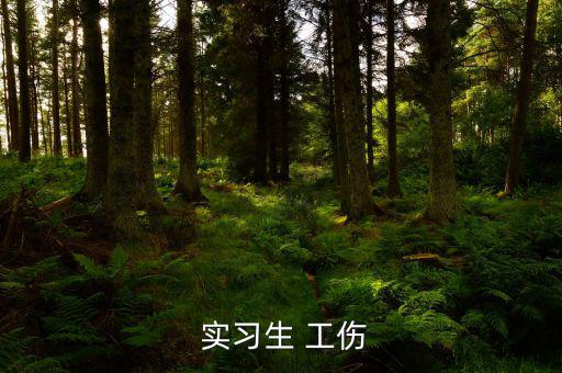 實習生工傷怎么處理,實習生工作中發(fā)生意外受傷應立即申請工傷