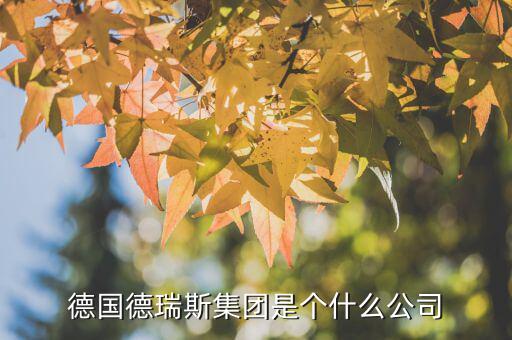 德國德瑞斯集團是個什么公司