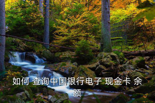 財務gs中怎么查詢現(xiàn)金余額,電子現(xiàn)金賬戶交易明細查詢