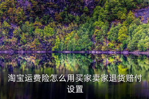  淘寶運(yùn)費(fèi)險(xiǎn)怎么用買(mǎi)家賣(mài)家退貨賠付 設(shè)置