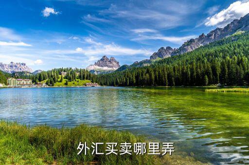 怎么購(gòu)買(mǎi)外匯,外匯可在中國(guó)銀行和交通銀行辦理業(yè)務(wù)