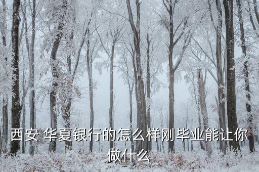 華夏銀行總會計怎么樣,股份制銀行收入明顯高于大型國有銀行
