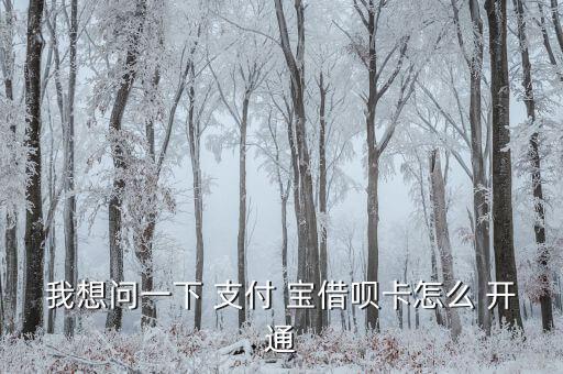 我想問(wèn)一下 支付 寶借唄卡怎么 開(kāi)通