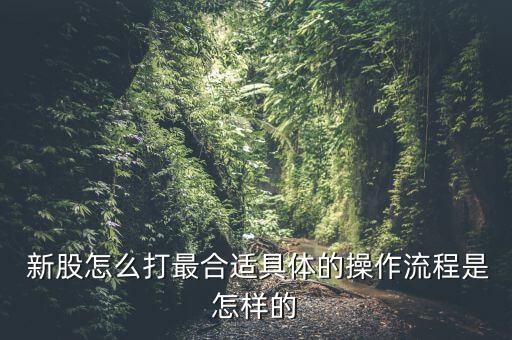  新股怎么打最合適具體的操作流程是怎樣的