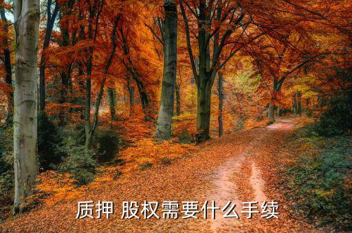 質(zhì)押股權(quán)怎么變現(xiàn),基金份額股權(quán)質(zhì)押后不得轉(zhuǎn)讓，除外