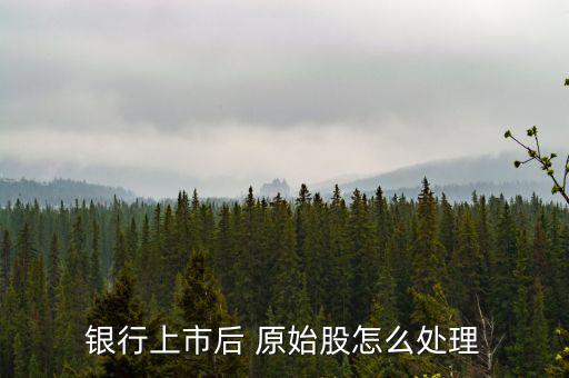 原始股怎么轉(zhuǎn)讓,上市公司原始股東可在指定證券交易場(chǎng)所轉(zhuǎn)讓
