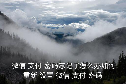  微信 支付 密碼忘記了怎么辦如何重新 設置 微信 支付 密碼