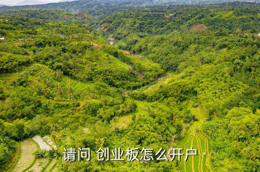 股票創(chuàng)業(yè)板怎么開通,開通-1/board流程如下: