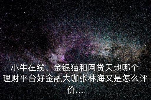  小牛在線、金銀貓和網(wǎng)貸天地哪個 理財平臺好金融大咖張林海又是怎么評價...
