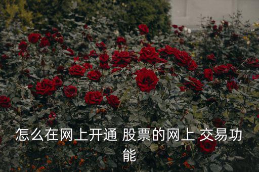 怎么在網(wǎng)上開(kāi)通 股票的網(wǎng)上 交易功能