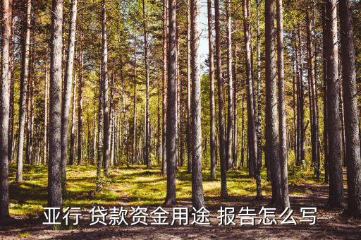 貸款新產(chǎn)品報(bào)告怎么寫(xiě),一文讀懂!如何申請(qǐng)貸款?