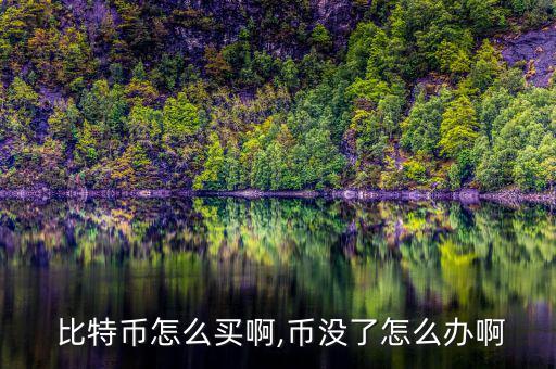  比特幣怎么買啊,幣沒(méi)了怎么辦啊