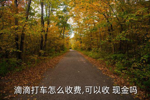  滴滴打車(chē)怎么收費(fèi),可以收 現(xiàn)金嗎