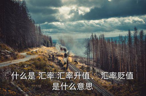 什么是 匯率 匯率升值、 匯率貶值是什么意思