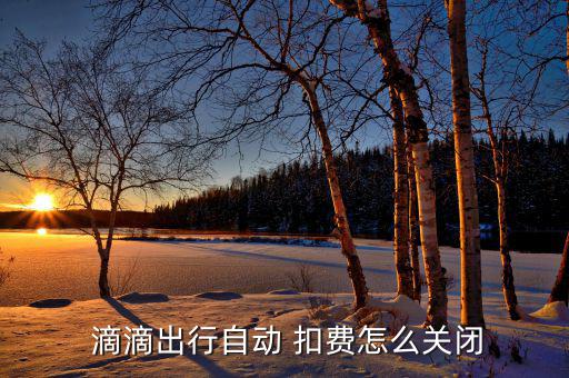 滴滴重復(fù)扣費(fèi)怎么辦,滴滴旅游微信免密支付可向滴滴客服投訴