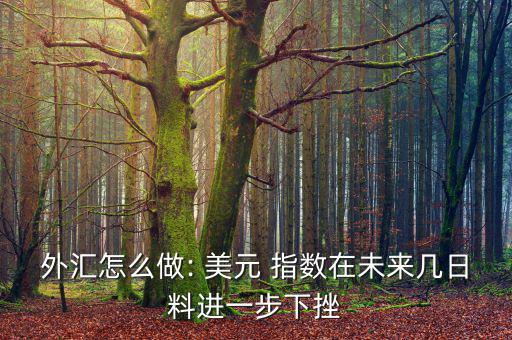 外匯怎么做: 美元 指數(shù)在未來幾日料進(jìn)一步下挫