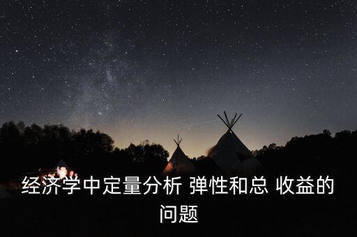 經濟學中定量分析 彈性和總 收益的問題