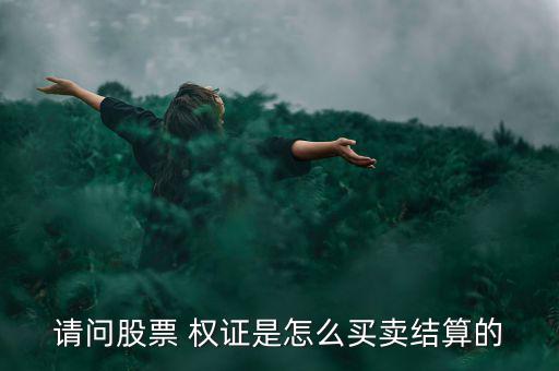 請(qǐng)問股票 權(quán)證是怎么買賣結(jié)算的