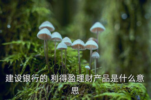 建行利得盈怎么樣,建行系列人民幣理財(cái)產(chǎn)品利得盈推出新功能