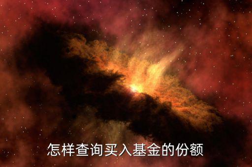 怎樣查詢買入基金的份額