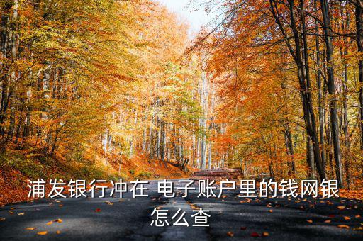 浦發(fā)電子現(xiàn)金怎么消費,浦發(fā)bank網(wǎng)銀服務(wù)如何進(jìn)行?